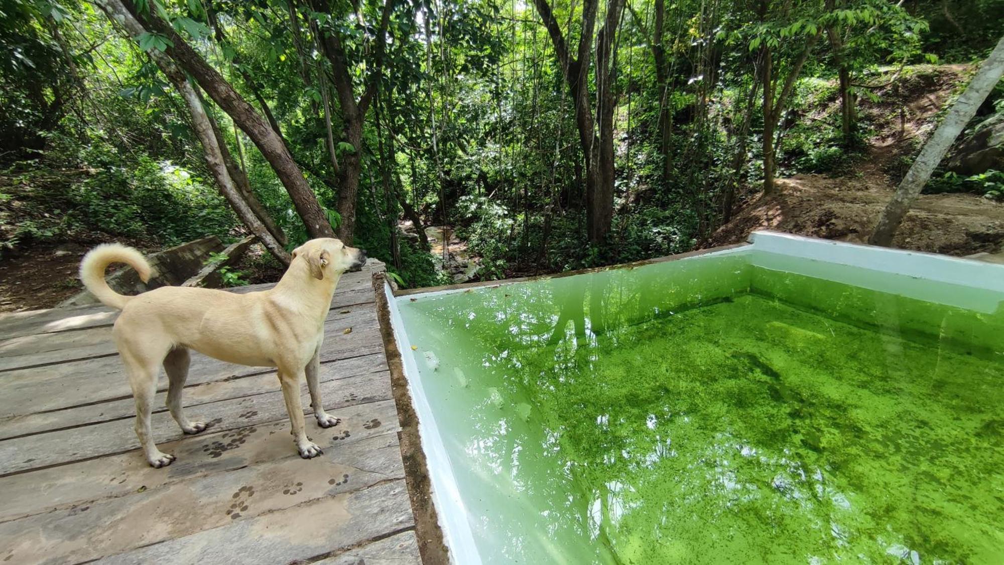 Yoo'nashi - Reserva Ecologica Y Experiencias Comunitarias * Santa Maria Huatulco