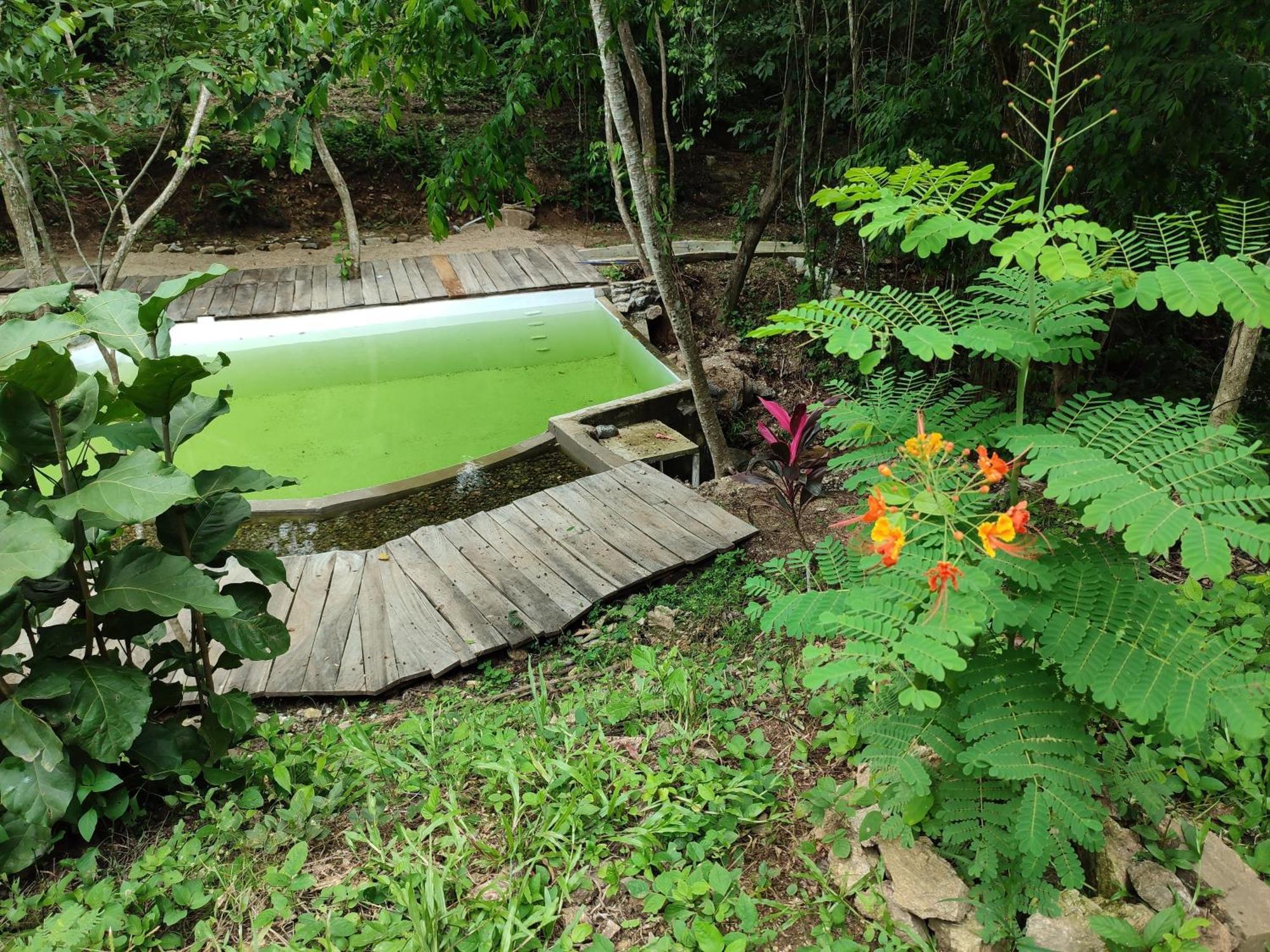 Yoo'nashi - Reserva Ecologica Y Experiencias Comunitarias Santa Maria Huatulco