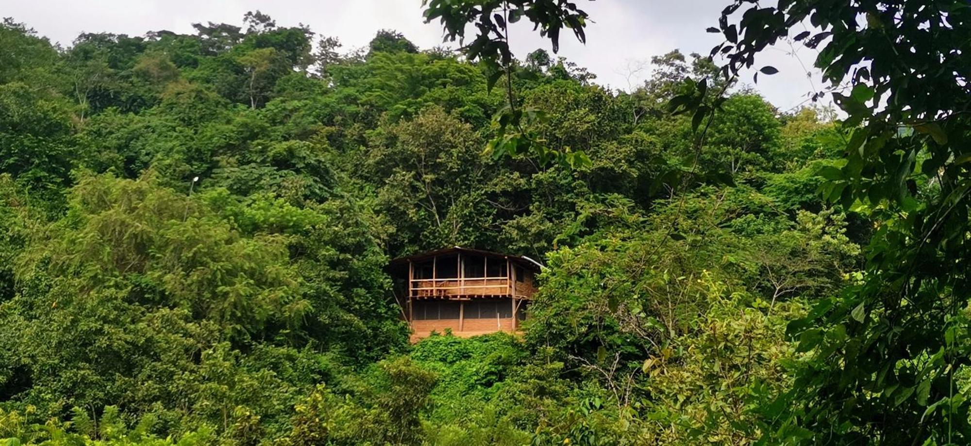 Chalet Yoo'nashi - Reserva Ecologica Y Experiencias Comunitarias