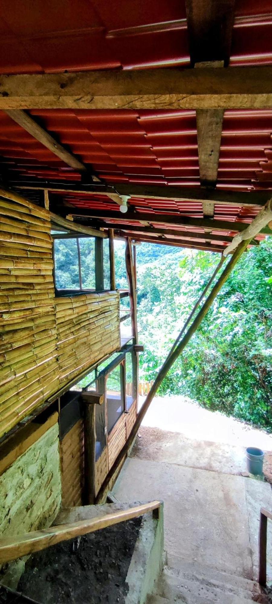 Yoo'nashi - Reserva Ecologica Y Experiencias Comunitarias
