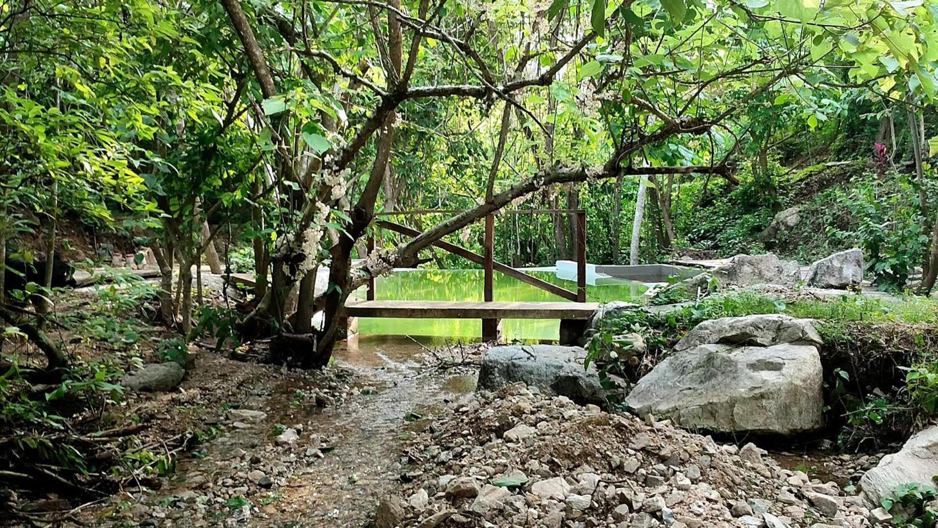 Yoo'nashi - Reserva Ecologica Y Experiencias Comunitarias Santa Maria Huatulco