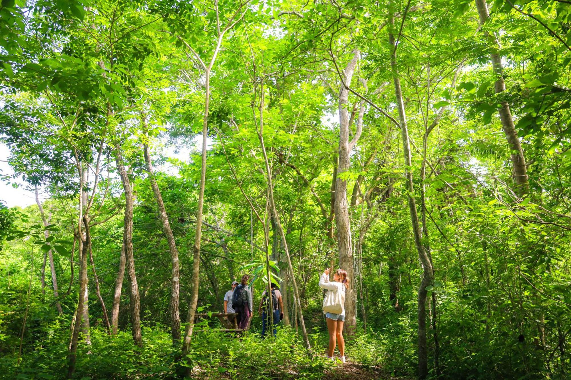 Chalet Yoo'nashi - Reserva Ecologica Y Experiencias Comunitarias Santa Maria Huatulco
