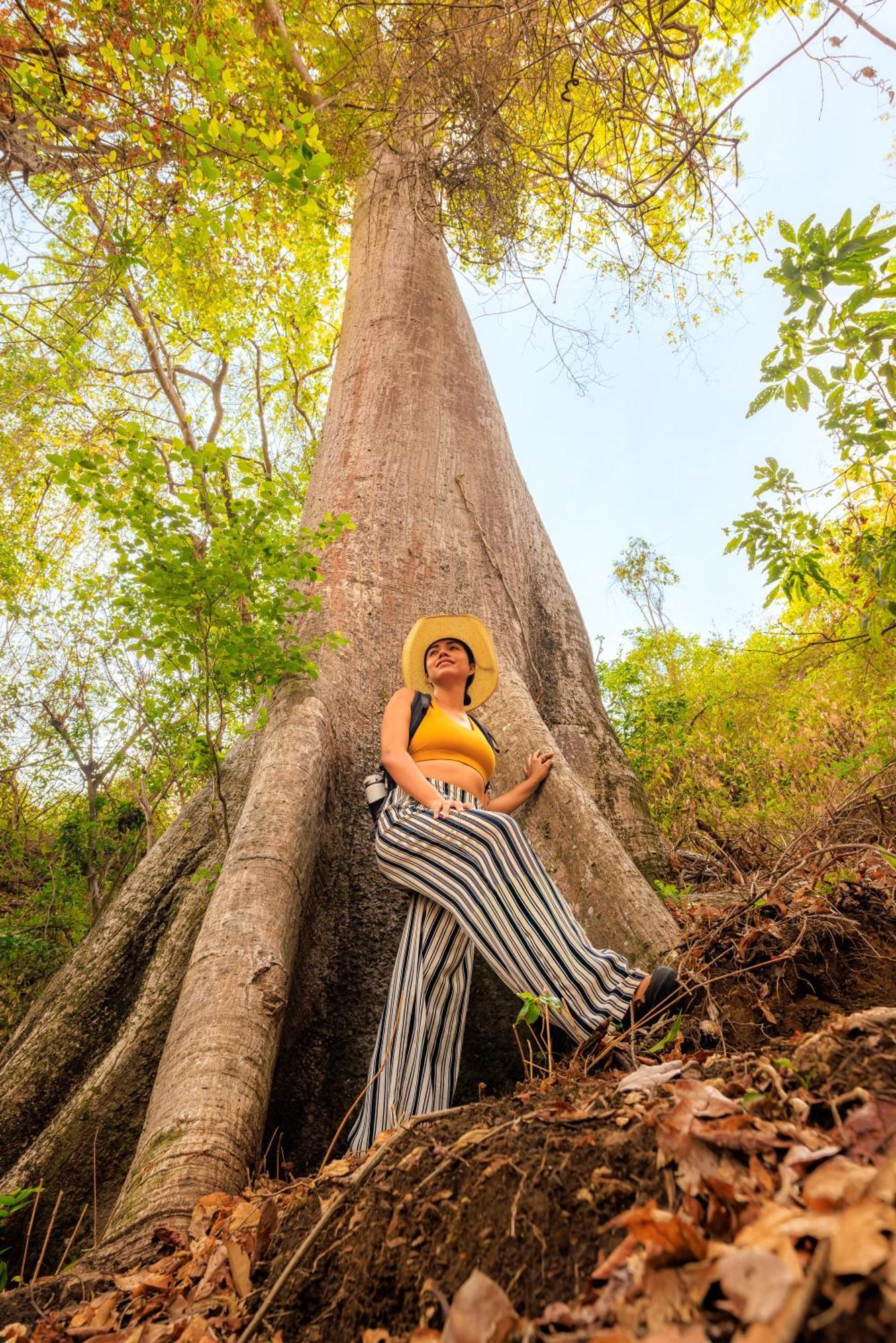Yoo'nashi - Reserva Ecologica Y Experiencias Comunitarias