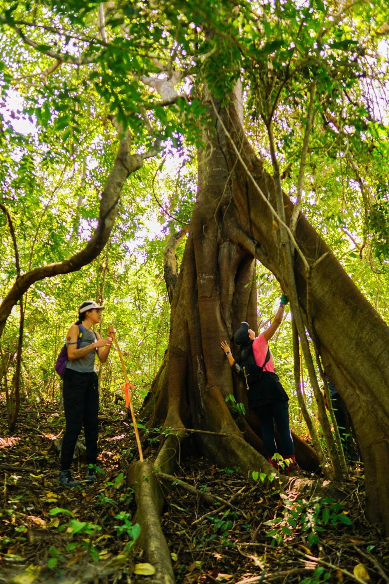 Yoo'nashi - Reserva Ecologica Y Experiencias Comunitarias Chalet Santa Maria Huatulco