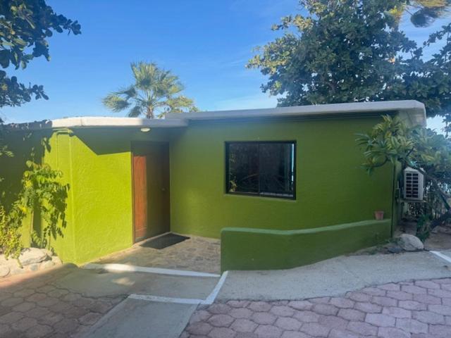 Agave Club Buenavista (Baja California Sur)