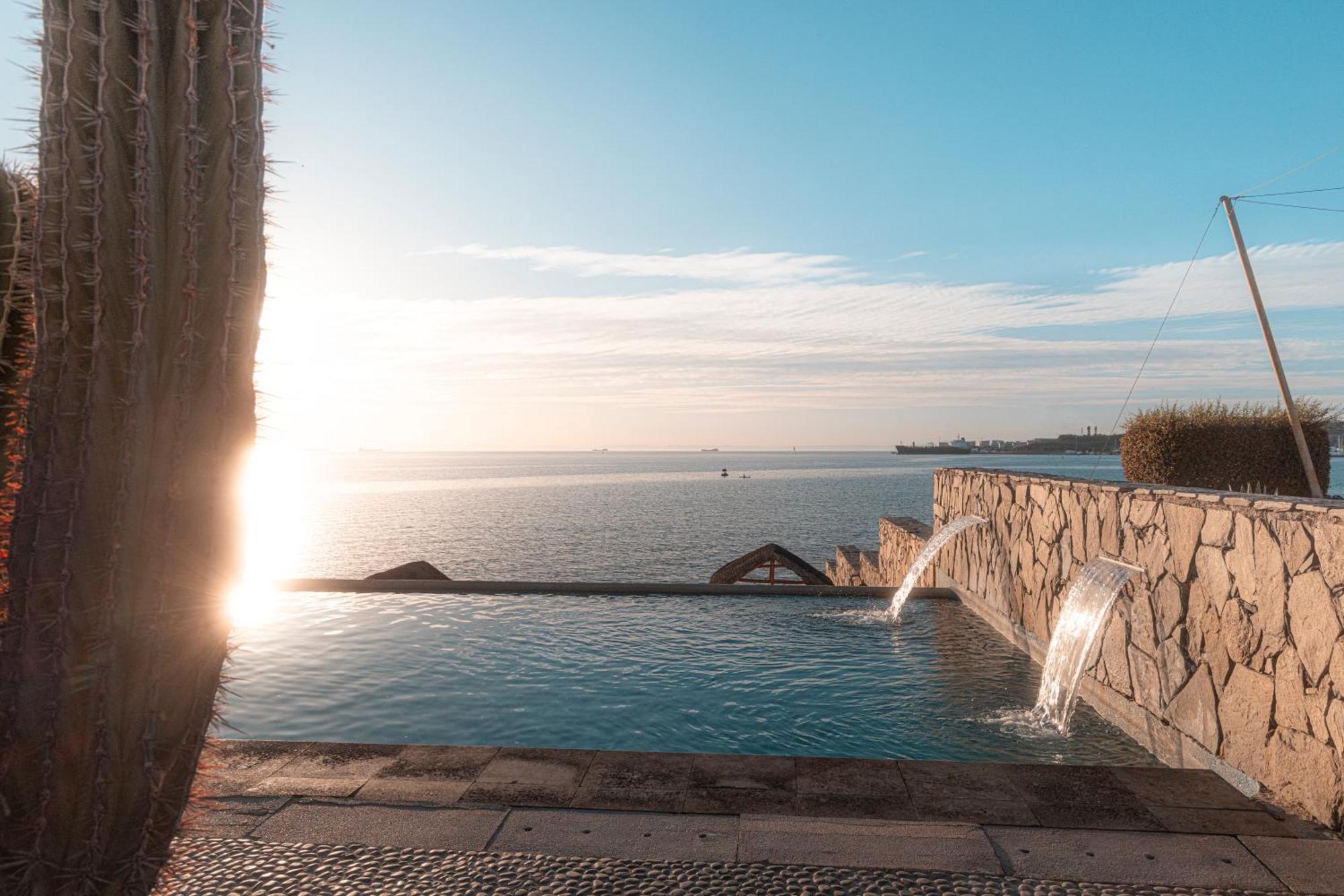Orchid House Baja