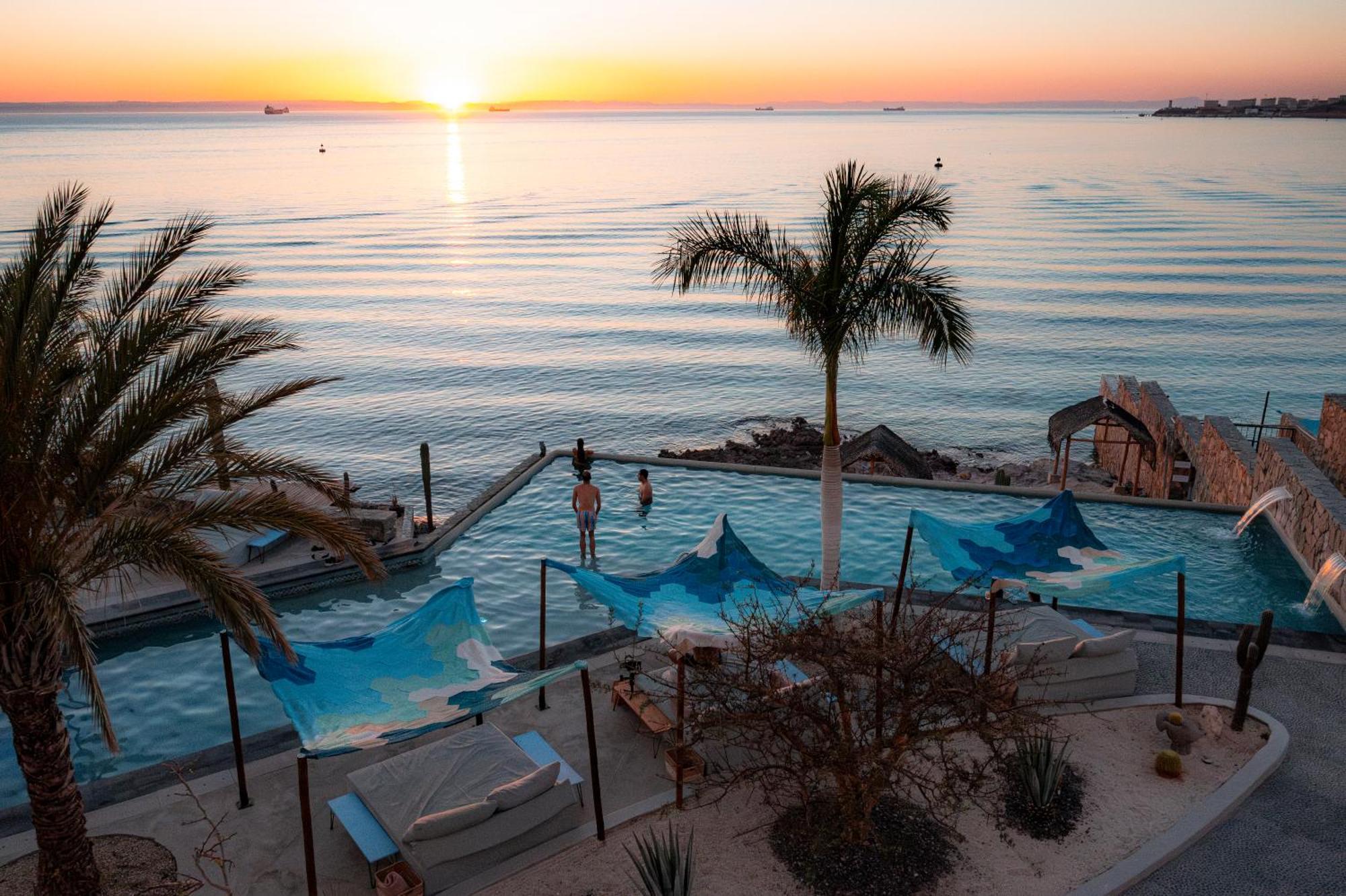 Orchid House Baja
