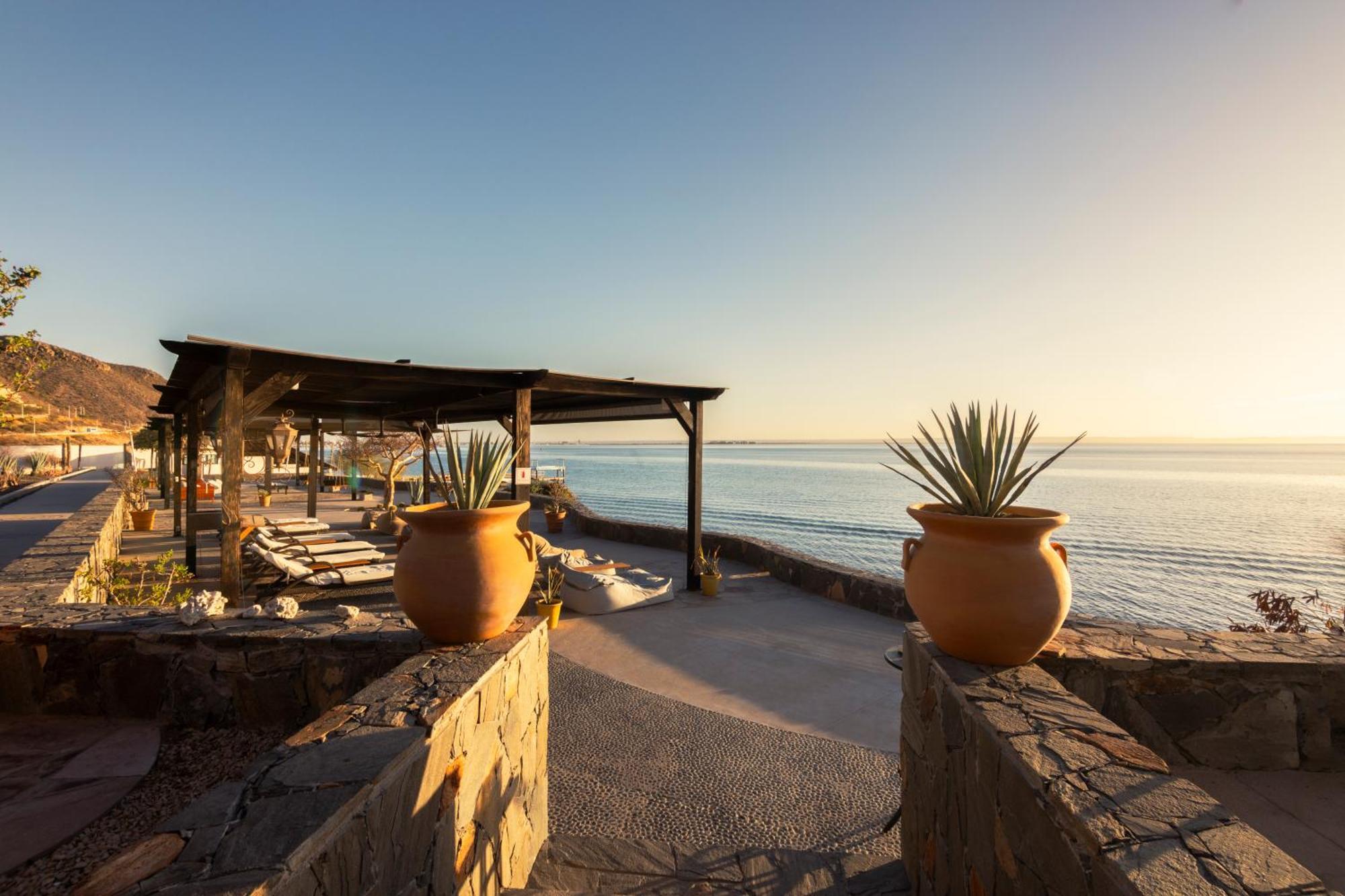 Hotel Orchid House Baja