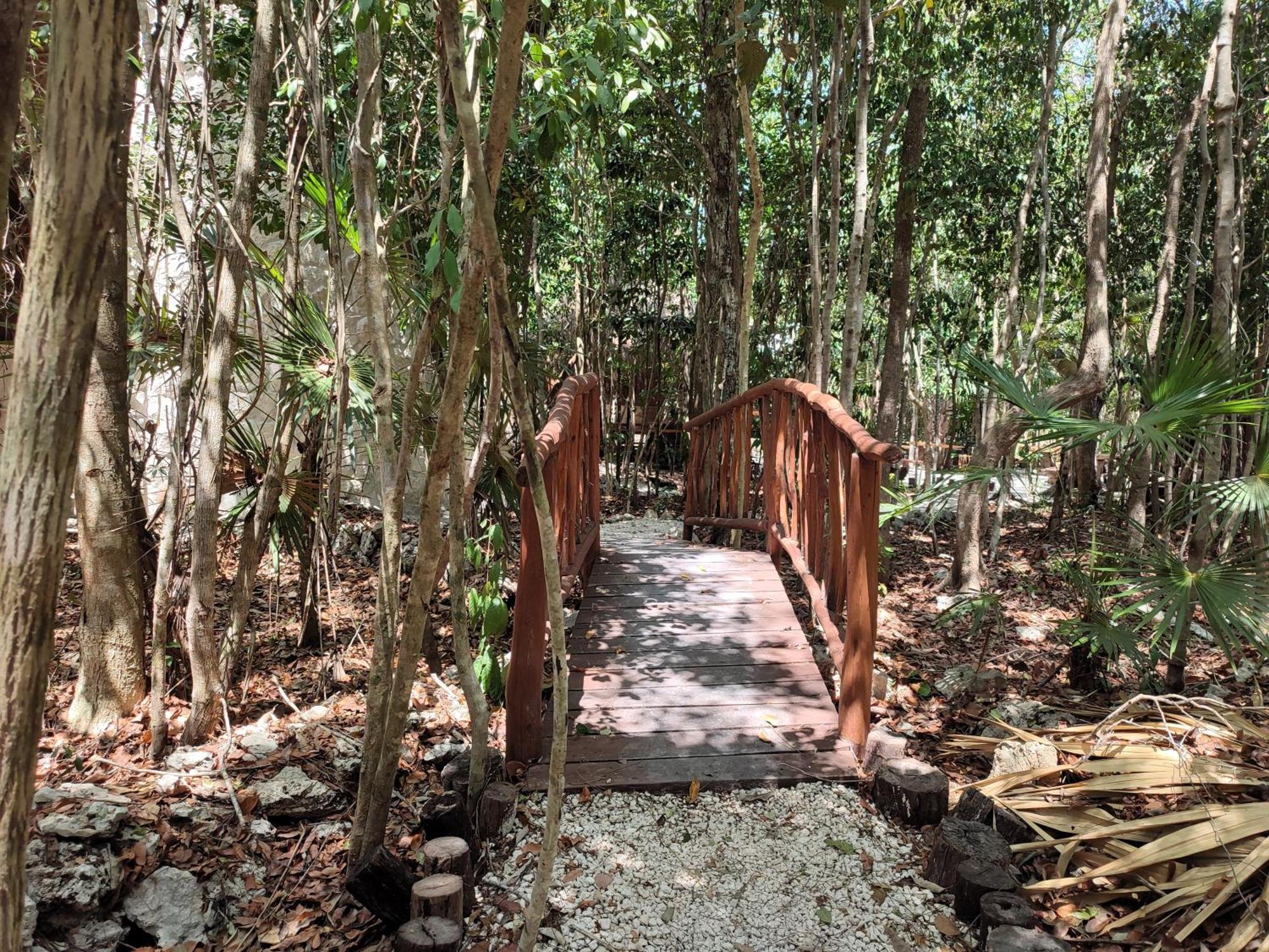 Campsite Aldea Maya-ha Con Cenotes