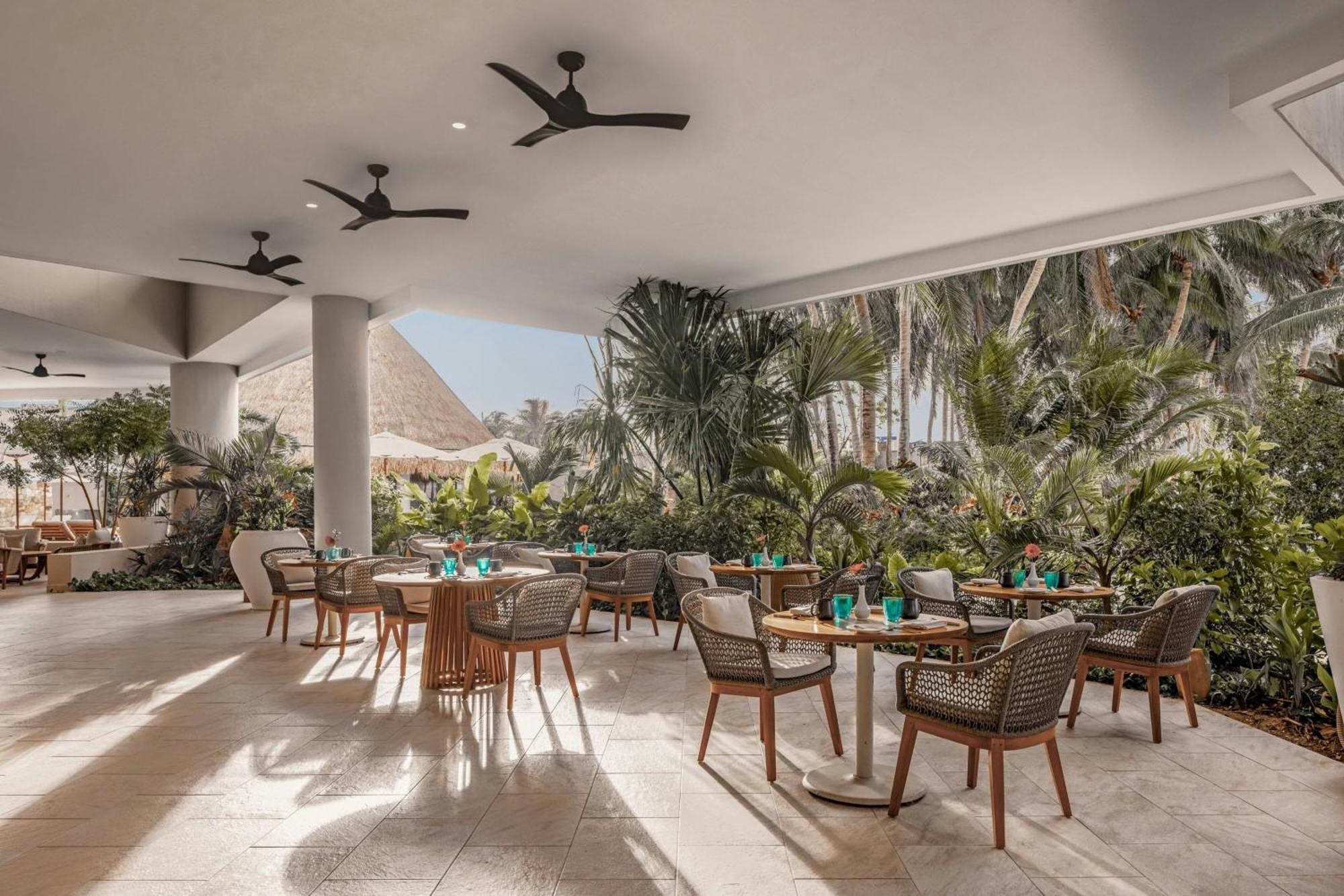 Almare, A Luxury Collection Resort, Isla Mujeres, Adult 5* Isla Mujeres