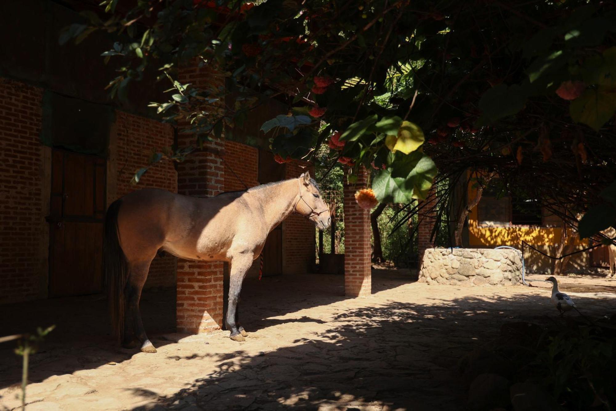 Hotel Rancho Reencuentro Eco & Cabalgatas *