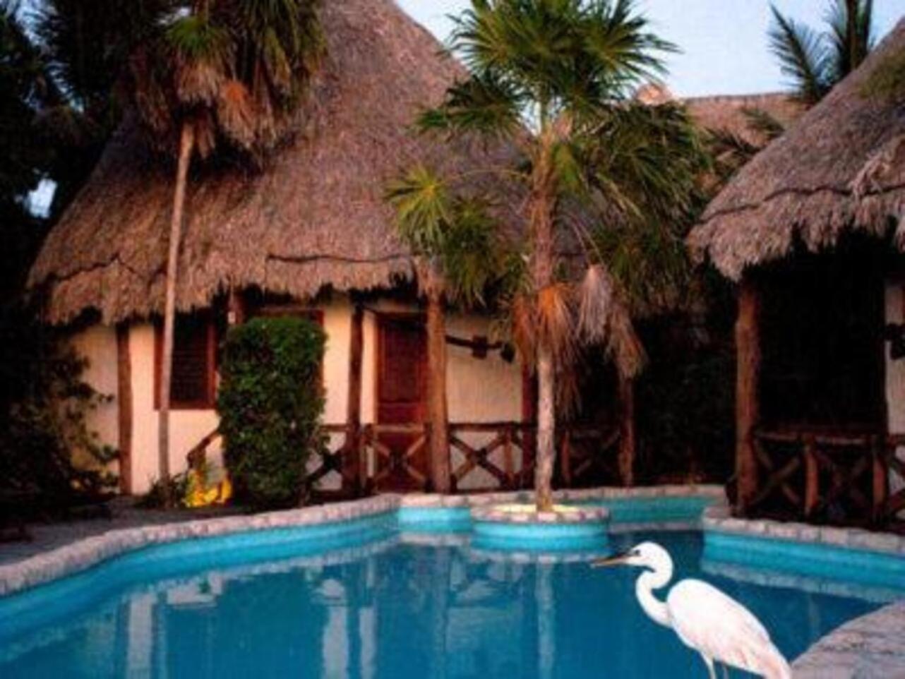 By Xaloc Isla Holbox