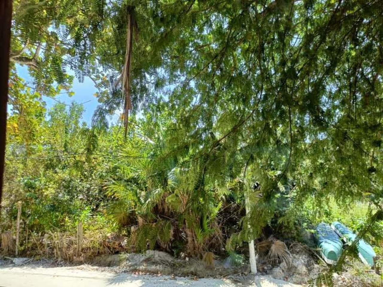 By Xaloc Isla Holbox