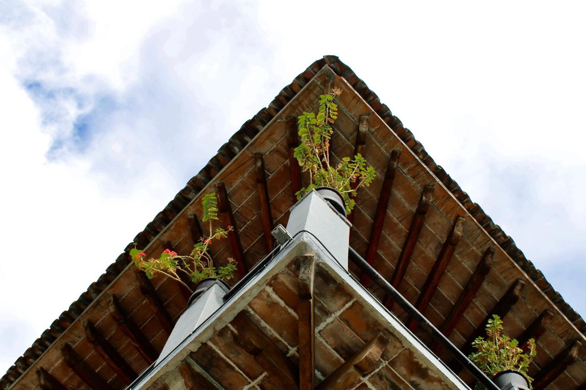 Hotel Organico Boutique Valle de Bravo