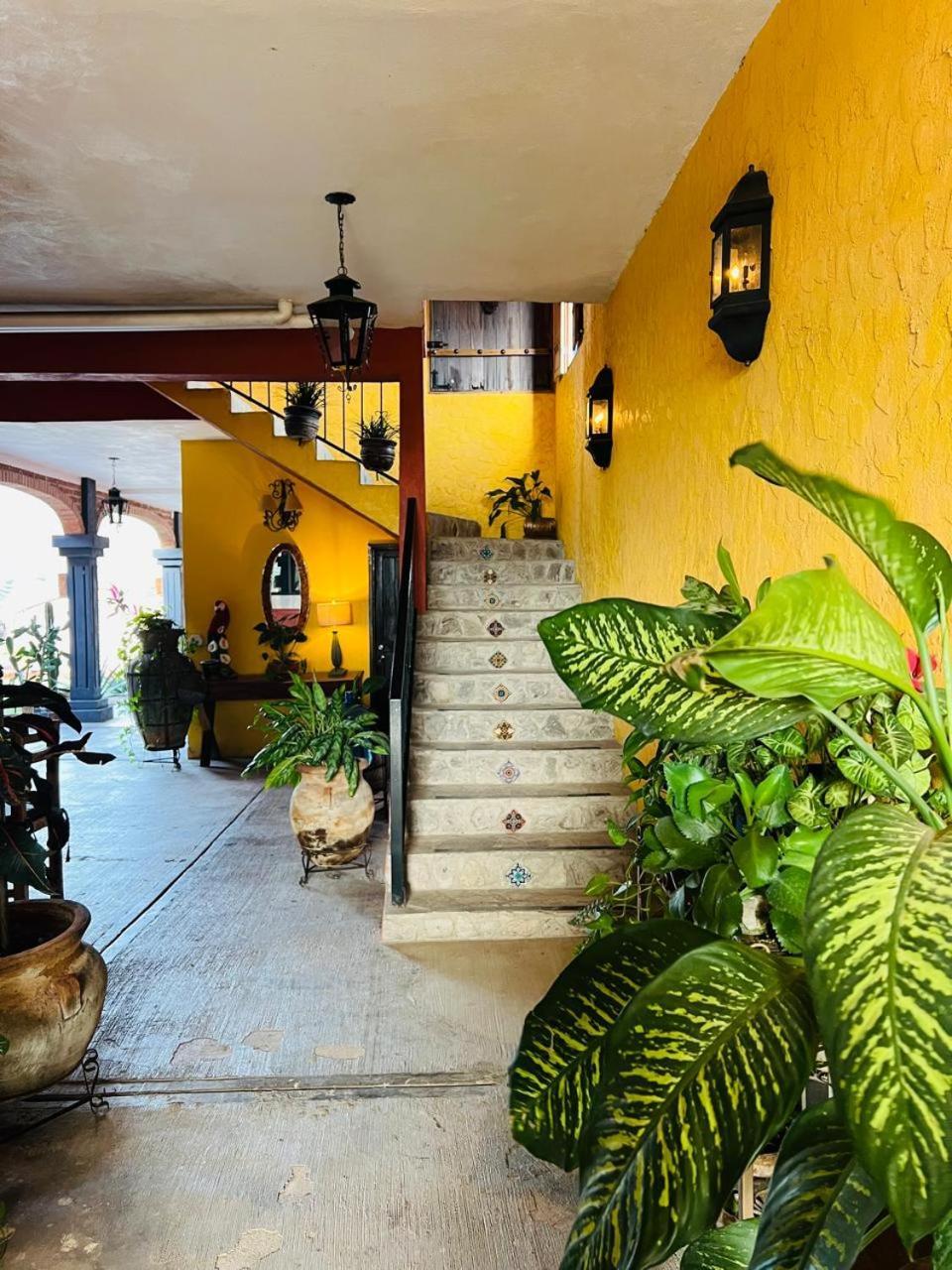 Guest house Casa Punta Perula