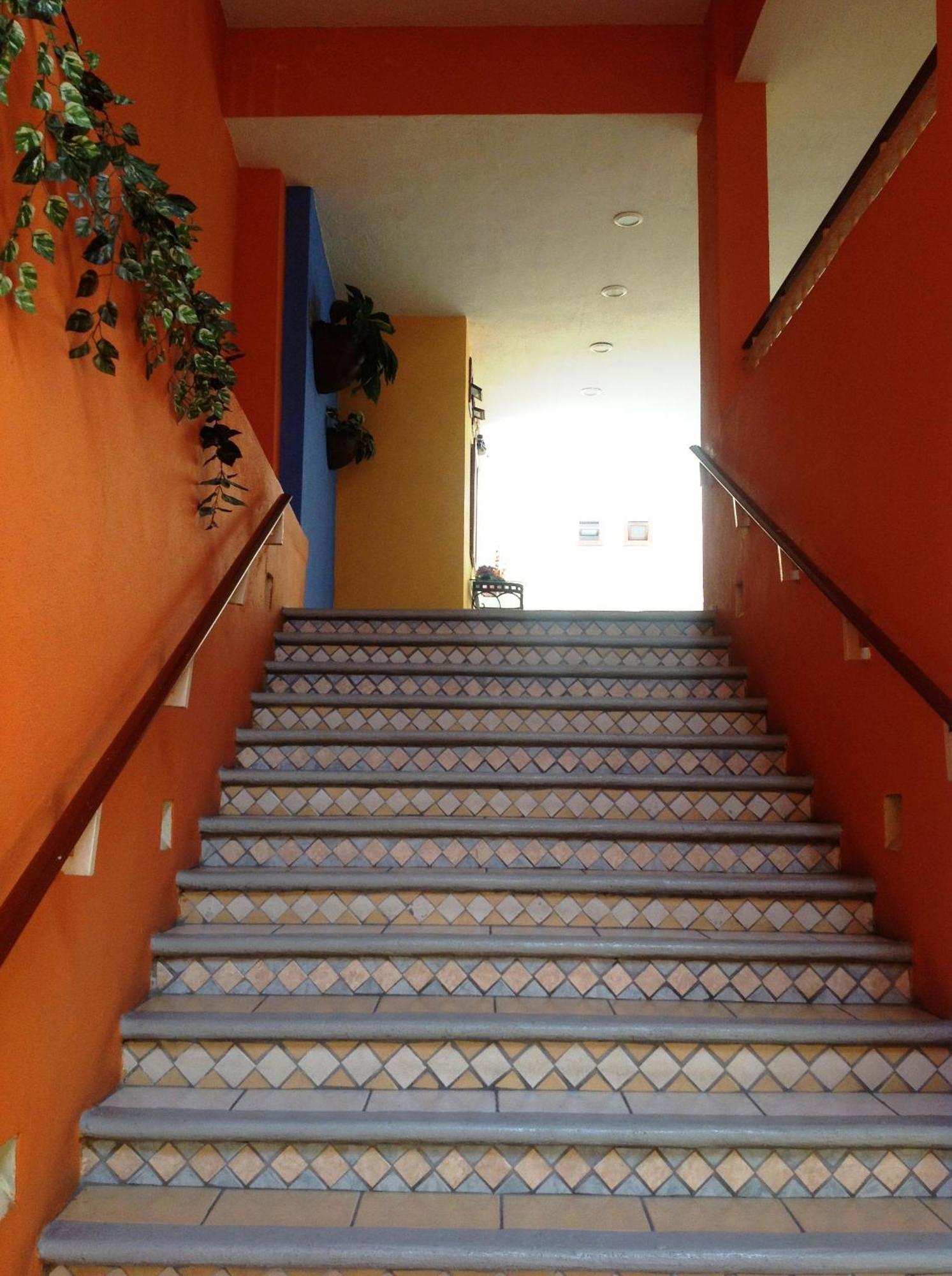 Plaza Jardin Hotel 4*