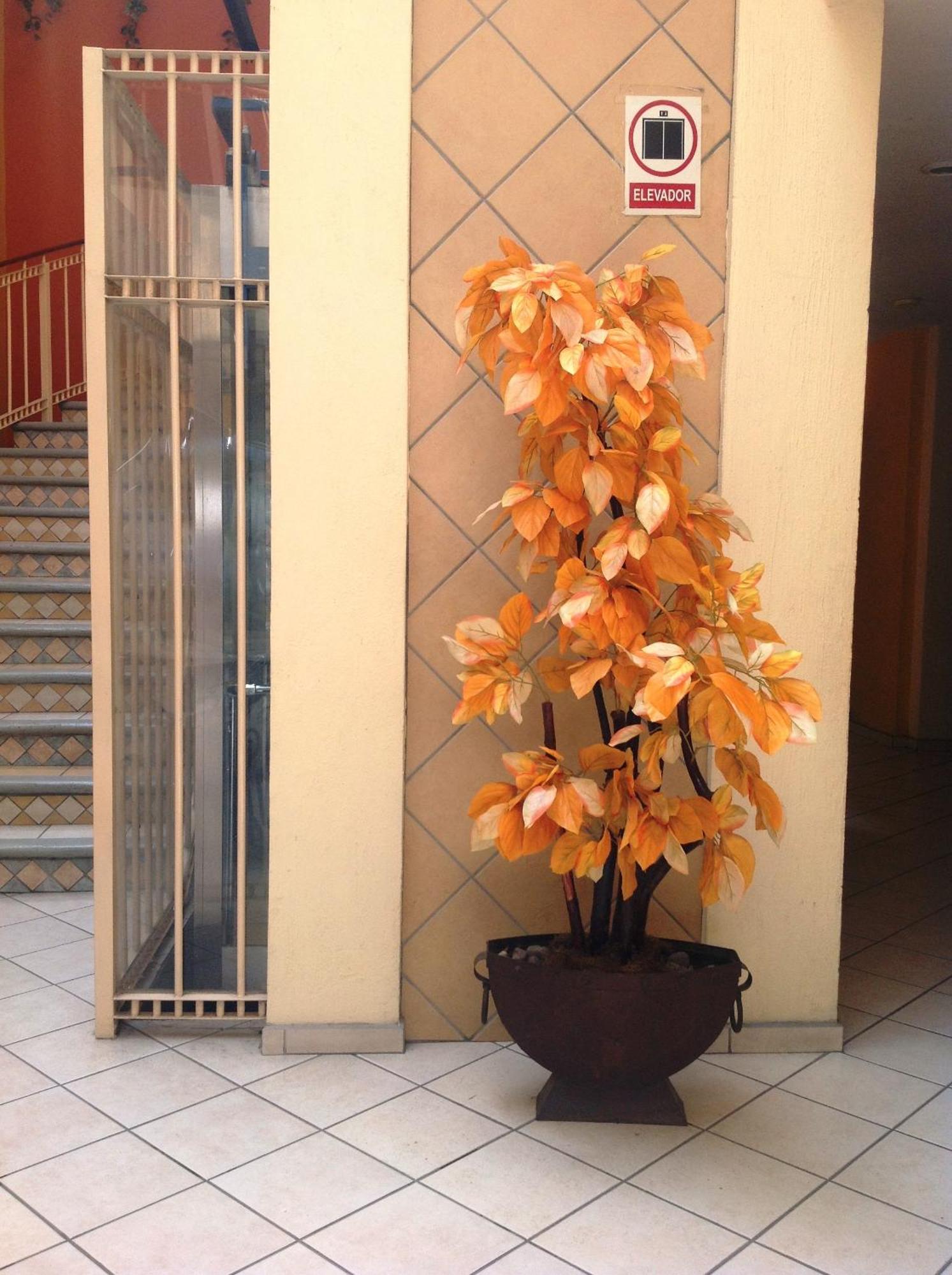 Plaza Jardin Hotel 4*
