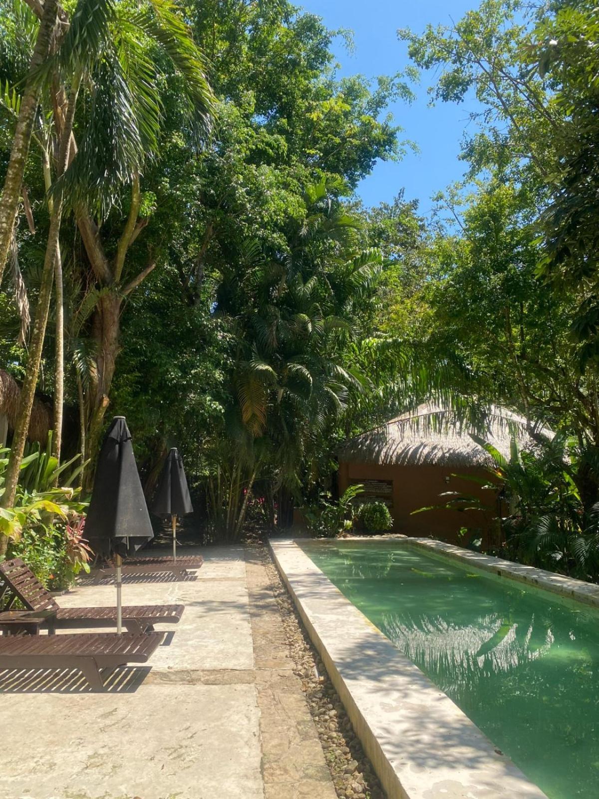 Piedra De Agua Hotel Palenque