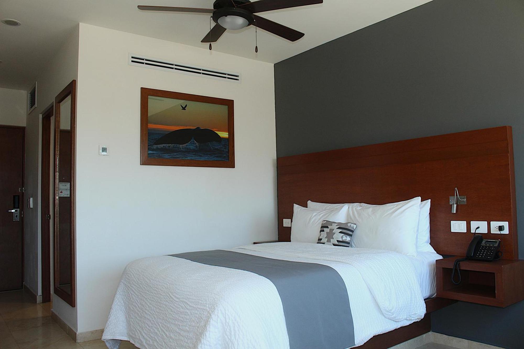 Sol De Cabo Hotel San Jose del Cabo