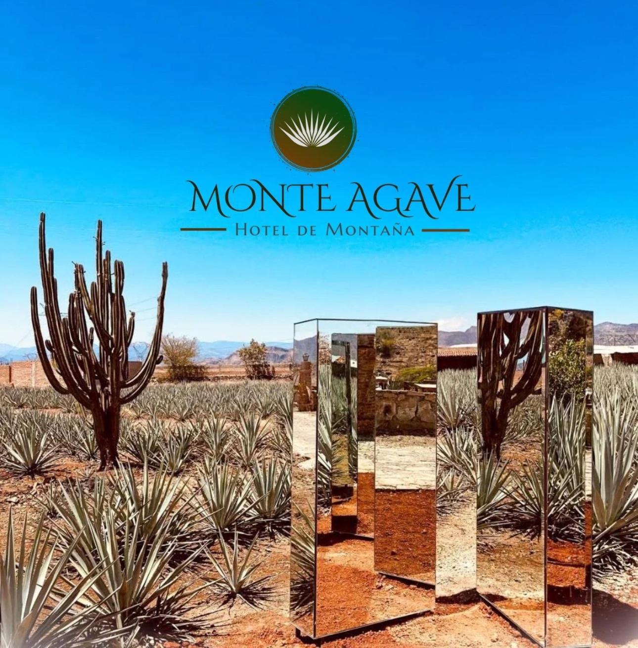 De Montana Monte Agave Tequila