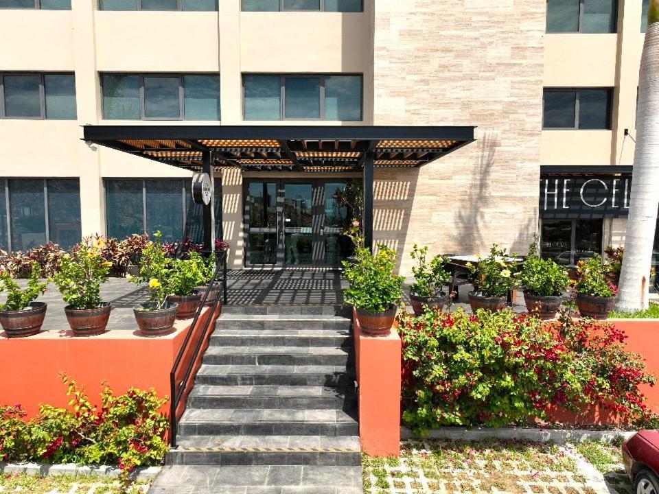 Sol De Cabo Hotel San Jose del Cabo