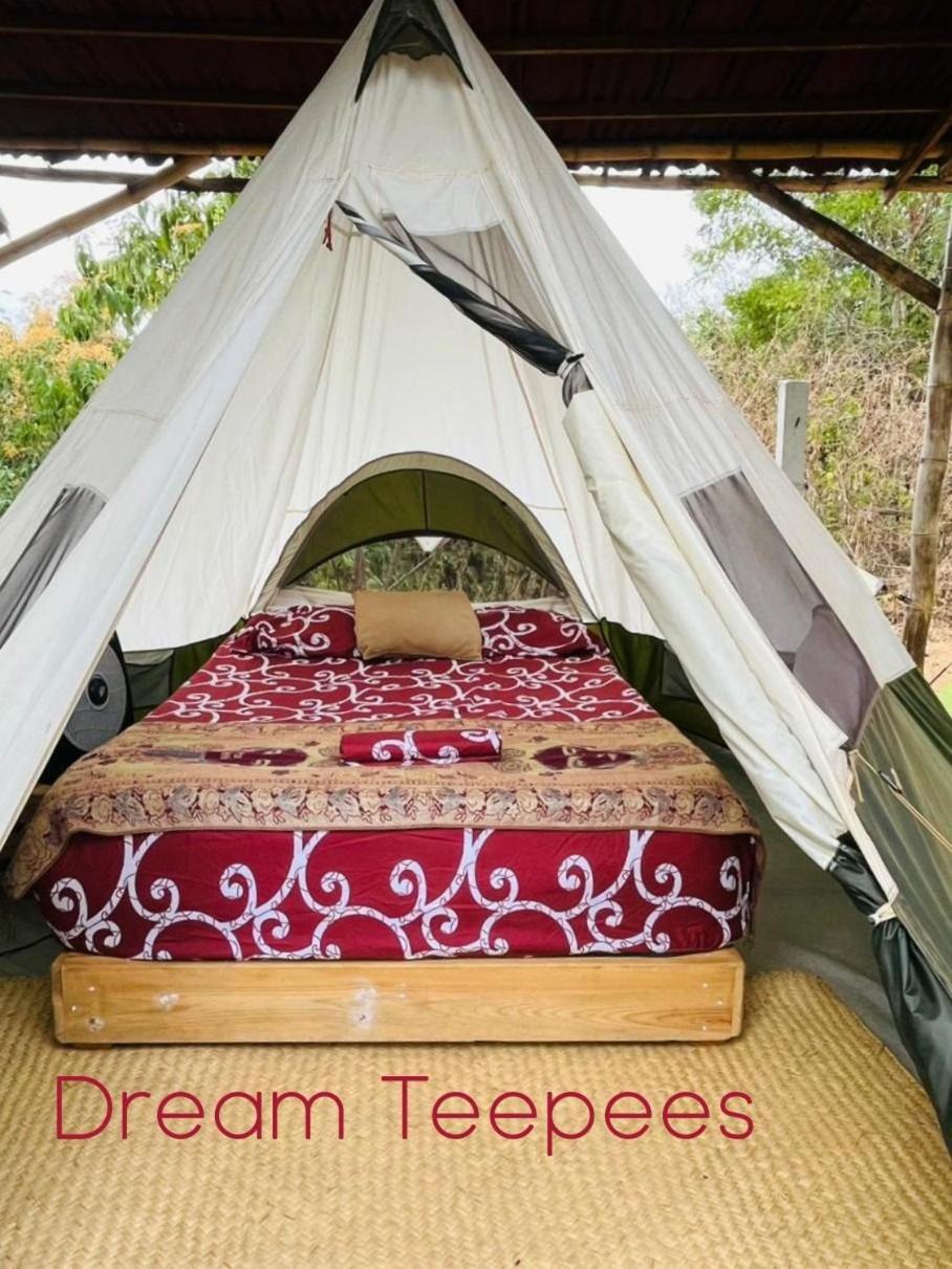 Bajo Estrellas Eco Glamping Luxury tent *