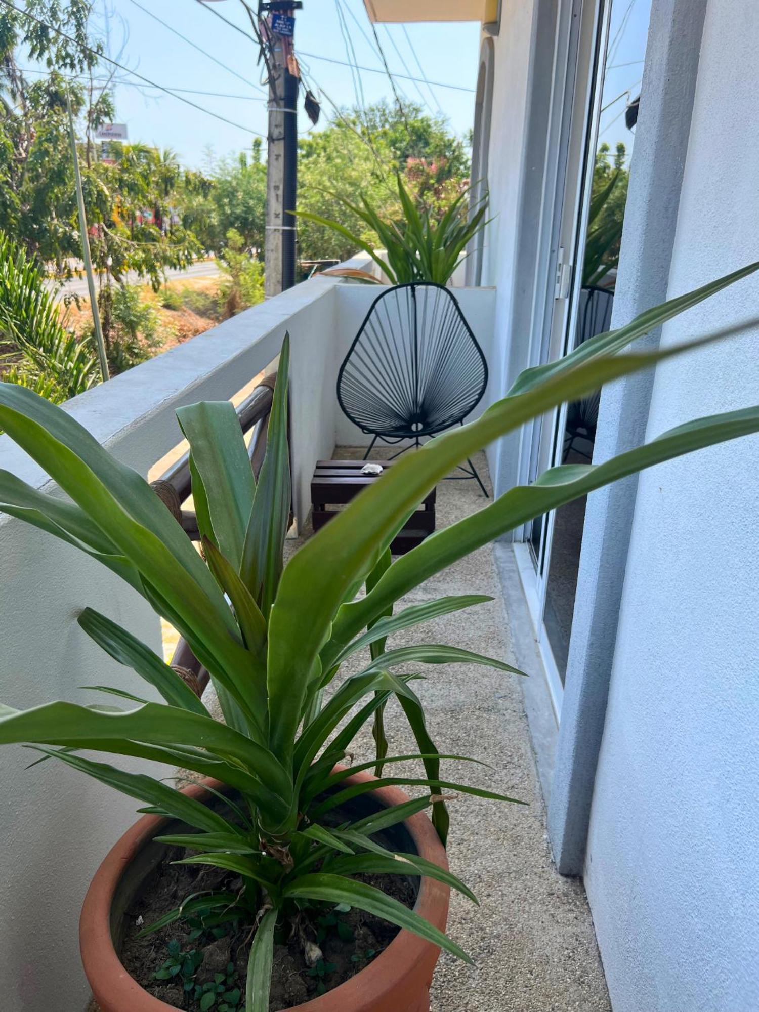 Casa Losodeli & Coworking- Adults Only * Puerto Escondido (Oaxaca)