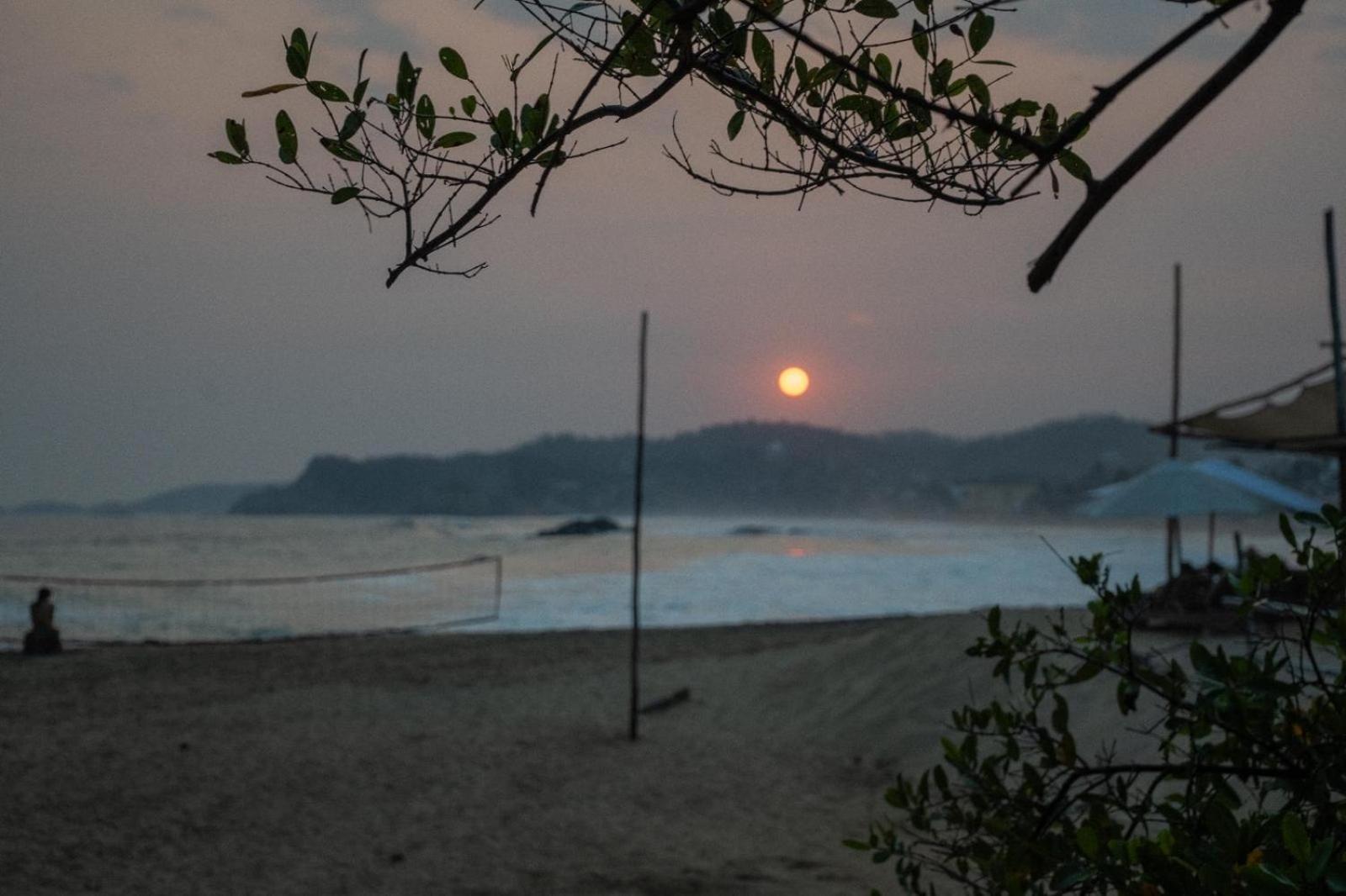Columpio Del Reptil Lodge Mazunte