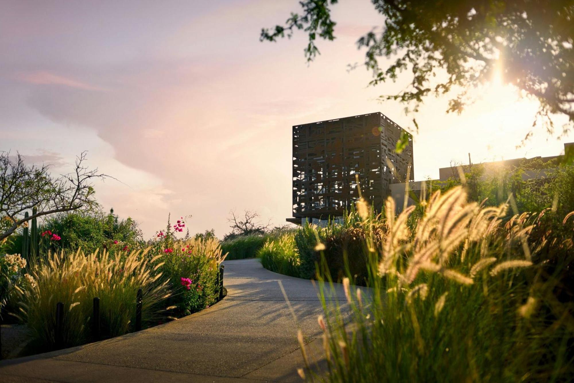 Zadun, A Ritz-carlton Reserve, Cabos Hotel