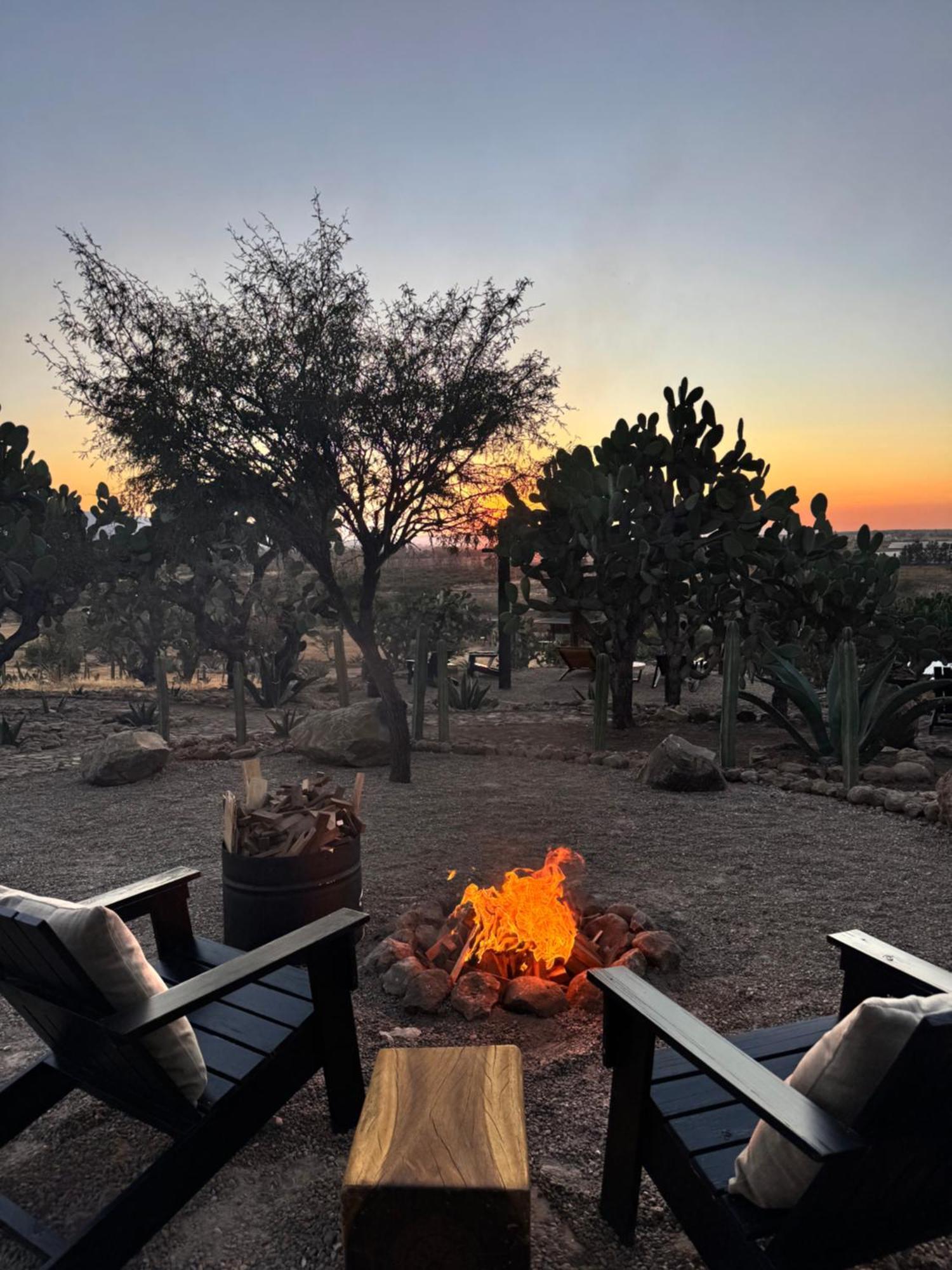 Hotel Coyote 4*