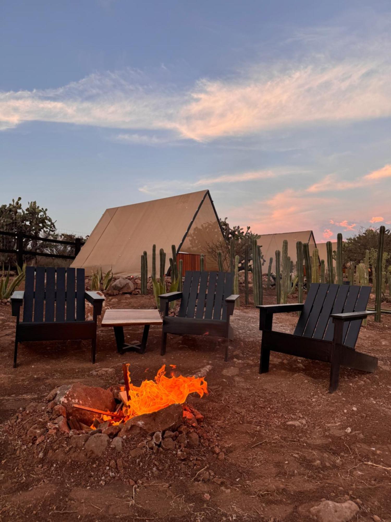 Hotel Coyote 4*