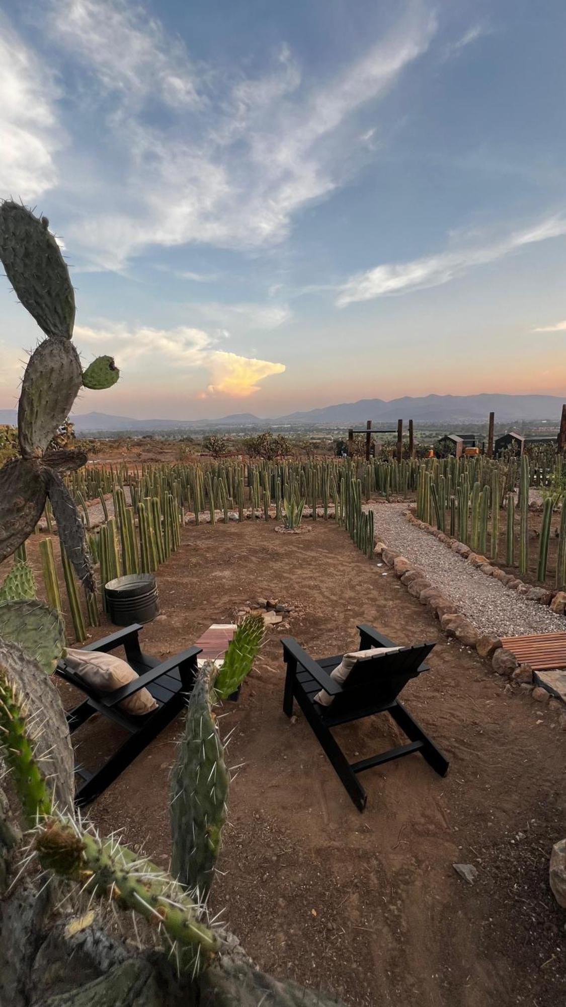 Coyote Hotel