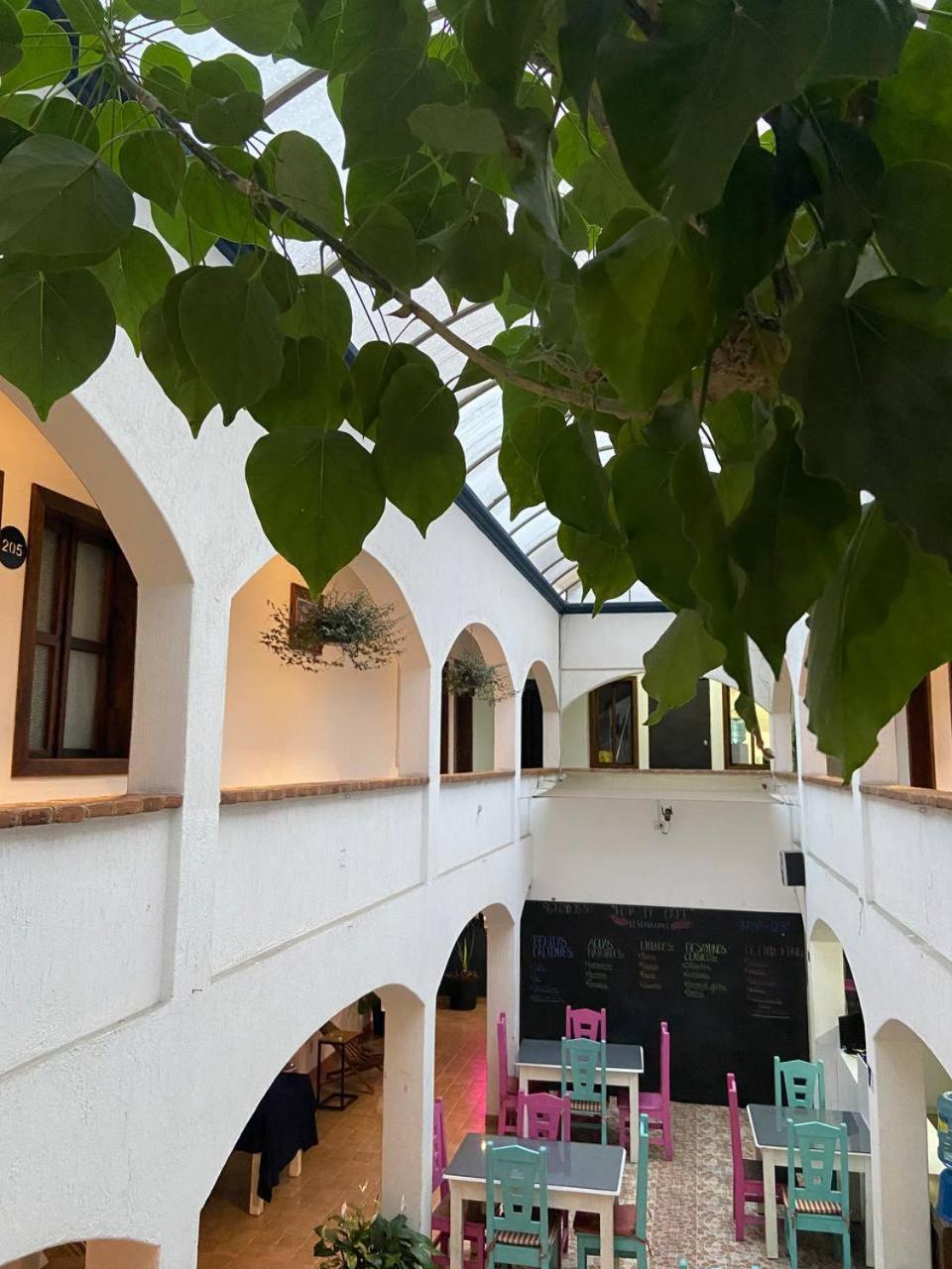 Jardines De Luz