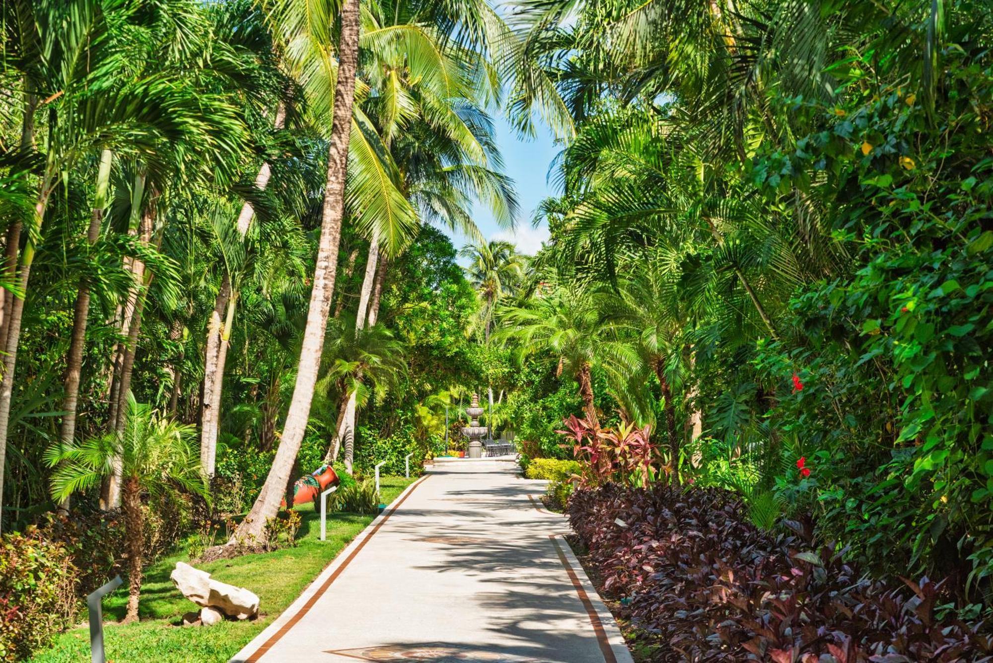 Resort Occidental