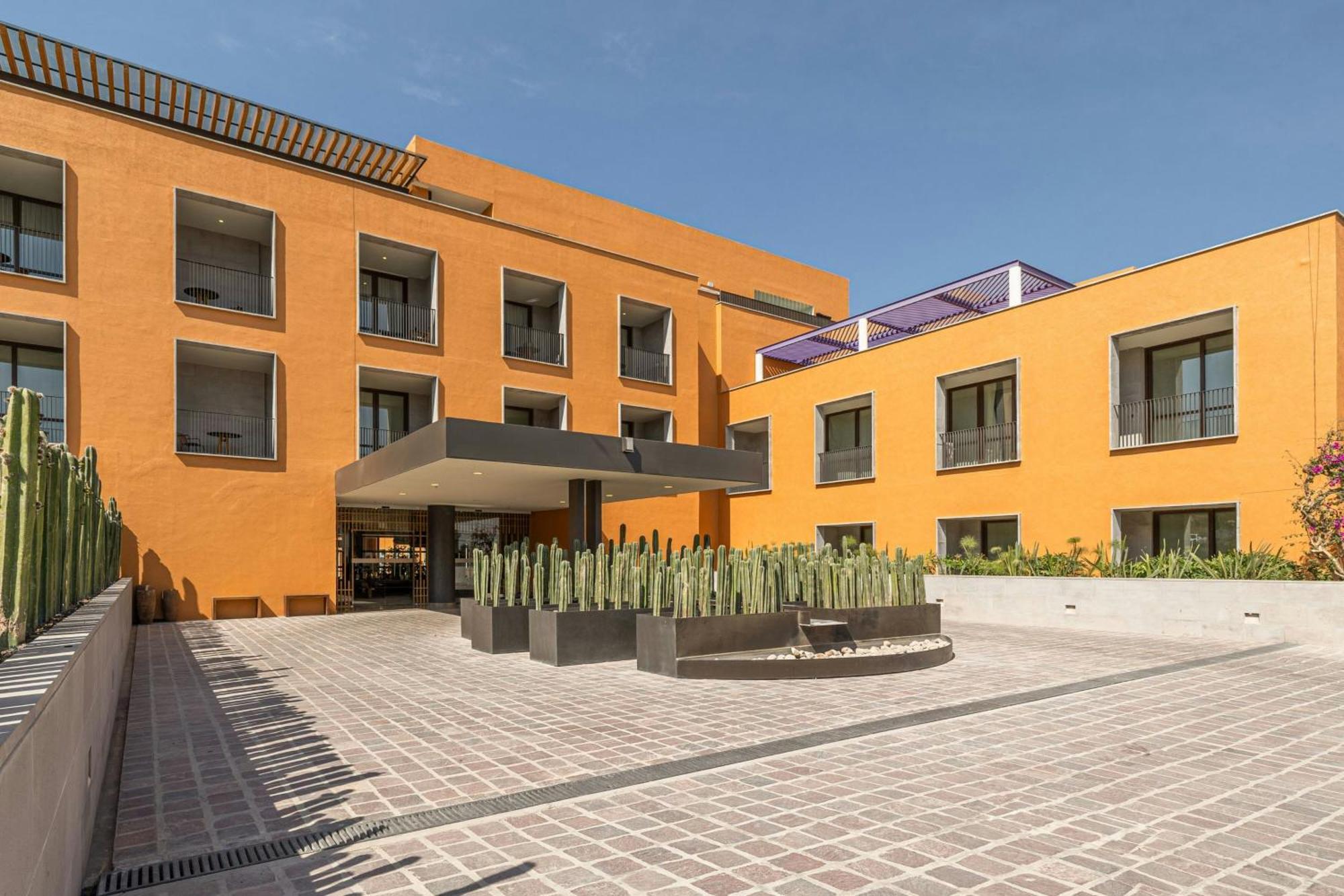 Clevia, San Miguel De Allende, Autograph Collection