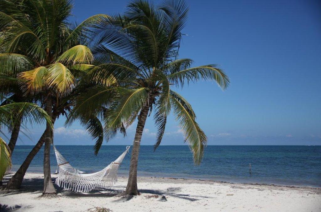 Grand Slam Fishing Tulum Punta Allen