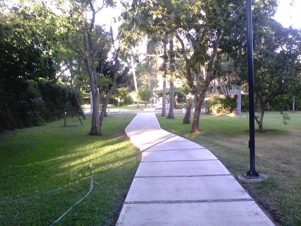 Tenisol Manzanillo
