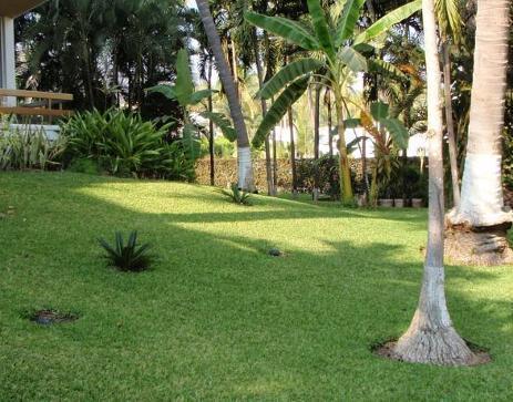 Tenisol Hotel