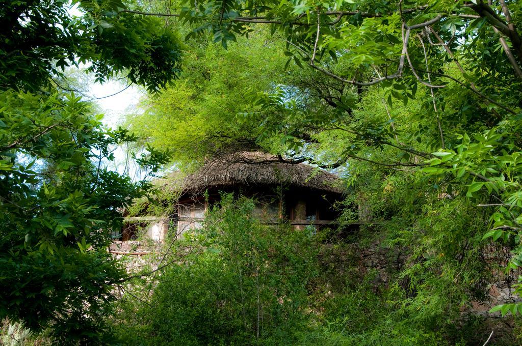 Hotel Nirvana Restaurant & Retreat
