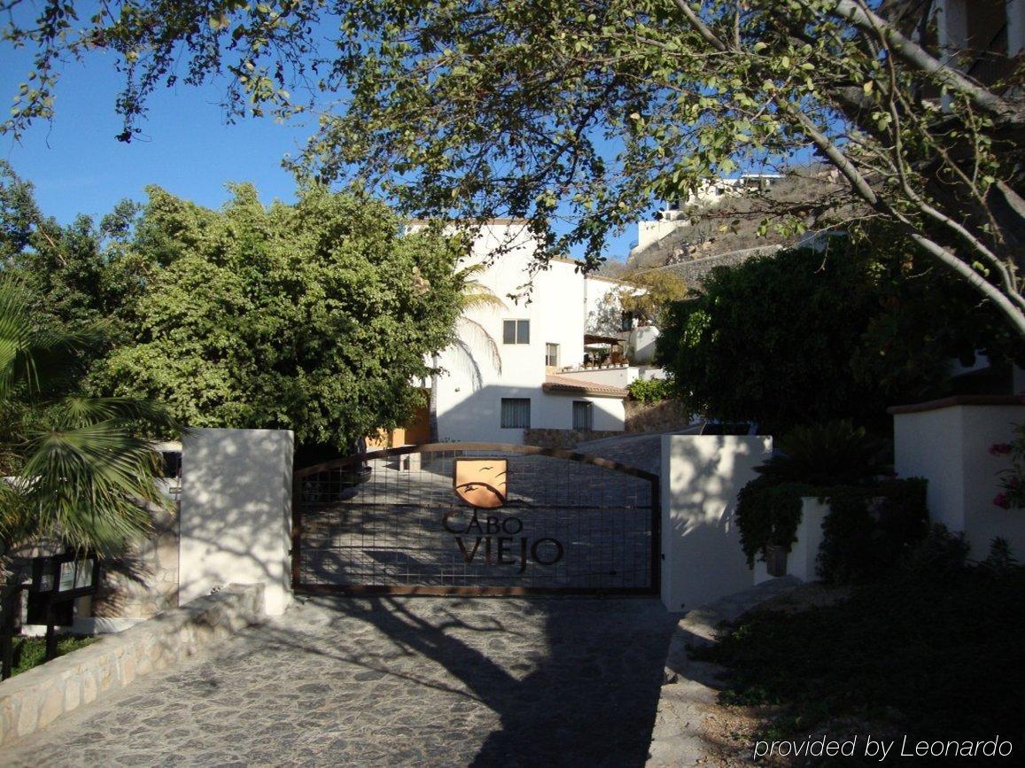 The At La Vista Boutique Hotel Cabo San Lucas