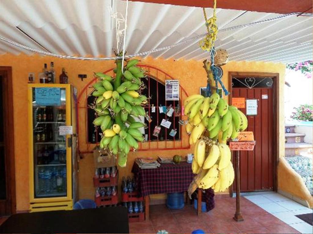Hotel Hotelito Swiss Oasis - Playa Zicatela - Adults Only 3*