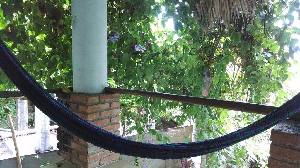 Guest house Casa Chicatana