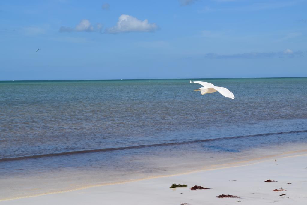Resort Delfines Isla Holbox