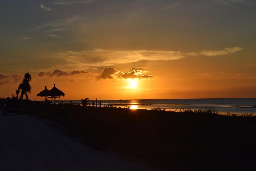 Delfines Resort Isla Holbox