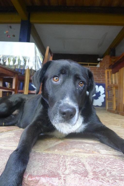 Escondida 3*