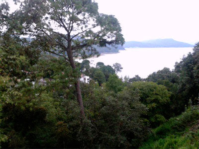 Revi Hotel 4*