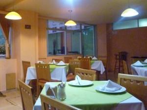 Hotel Borda