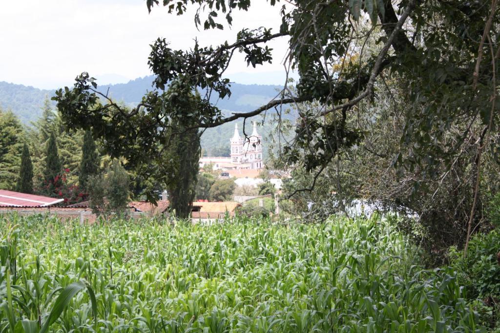 Hotel Huerta Real 4*