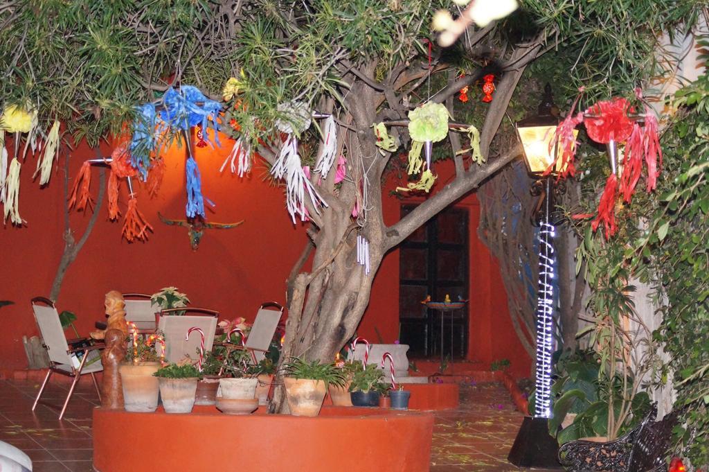 B&B La Casa De Los Espejos Holistic (Adults Only) 3* San Miguel de Allende