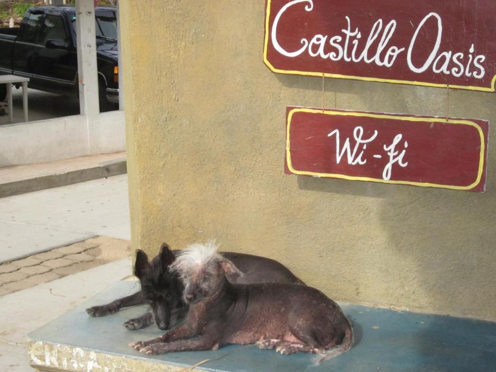 Castillo Oasis Guest house Zipolite